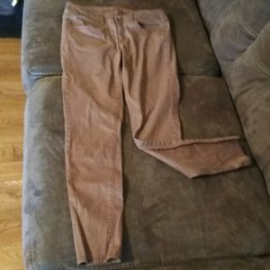 American eagle brown pants